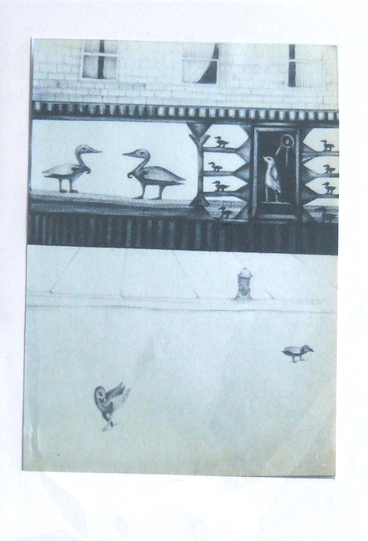 10. Avian Boutique Card $5